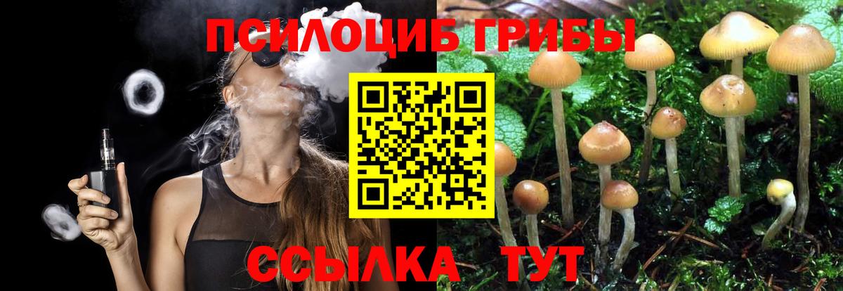 Галлюциногенные грибы Psilocybine cubensis Зерноград